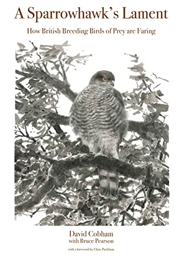 A Sparrowhawks Lament: How British Breeding Birds of Prey Are Faring