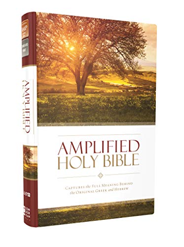 AMPLIFIED THINLINE BIBLE HC HC: Captures the Full Meaning Behind the Original Greek and Hebrew