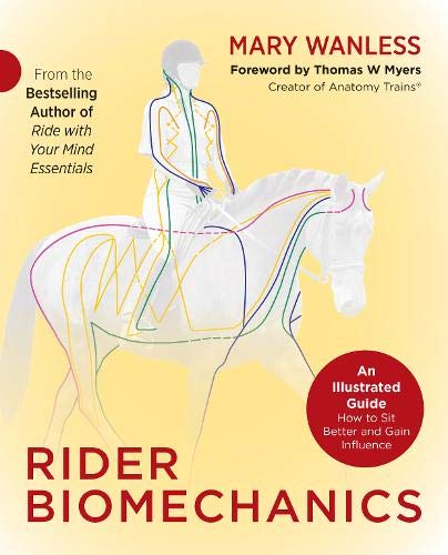 Rider Biomechanics: An Illustrated Guide | How to Sit Better and Gain Influence