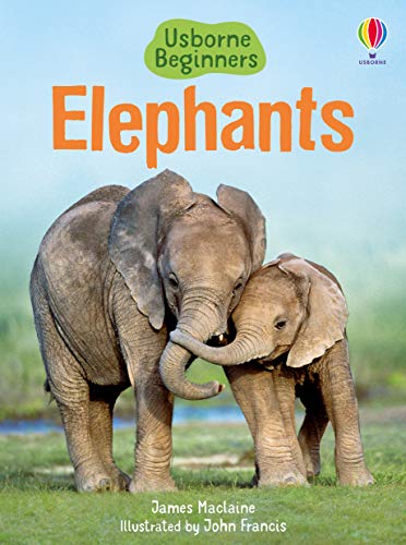 Elephants (Usborne Beginners) (Beginners Series)