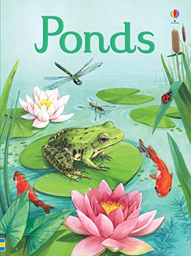 Ponds (Beginners)
