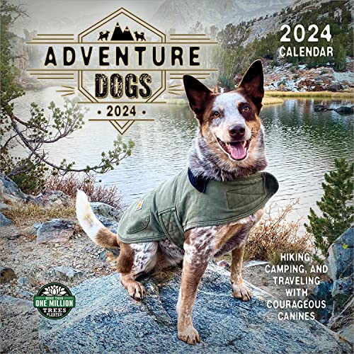 Adventure Dogs 2024 Calendar: Hiking, Camping, and Traveling with Courageous Canines
