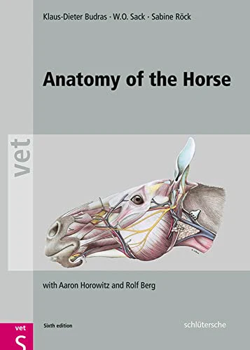 Anatomy of the Horse: with Aaron Horowitz and Rolf Berg