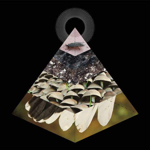 Belus - APOPHENIA [VINYL]
