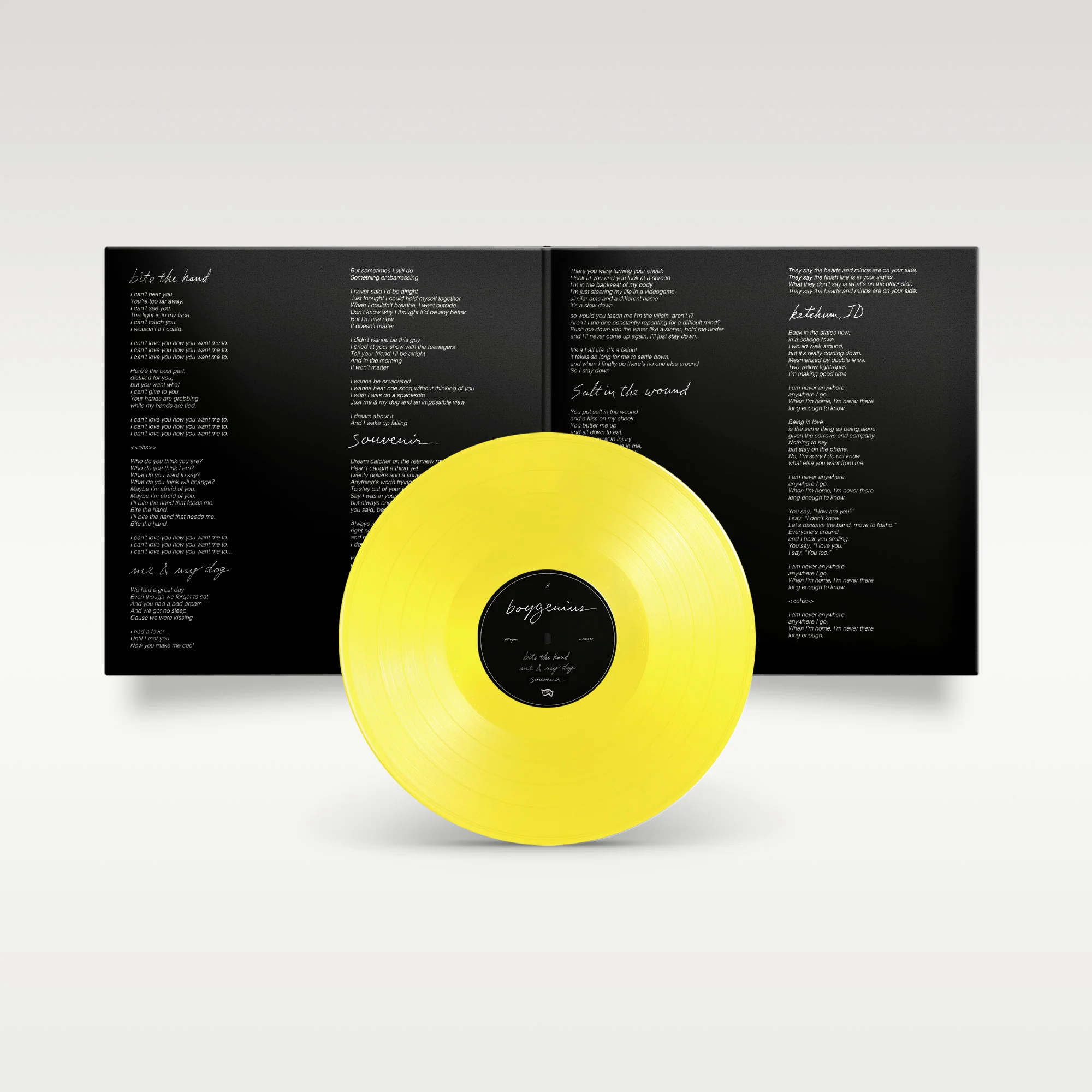 Boygenius - Boygenius - Boygenius (5th Anniversary) [vinyl] [VINYL] - Image 2