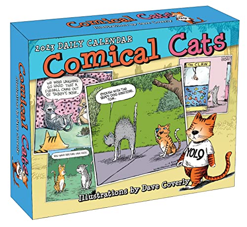 Comical Cats 2023 Daily Calendar (BOXEDDAILY 365 DAY COMBINED)