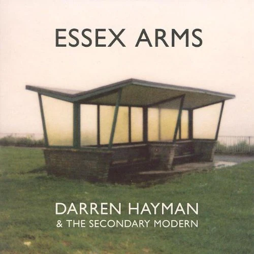 Darren Hayman Ltd - Essex Arms [VINYL]
