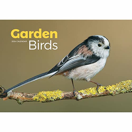 Garden Birds A4 Calendar 2024