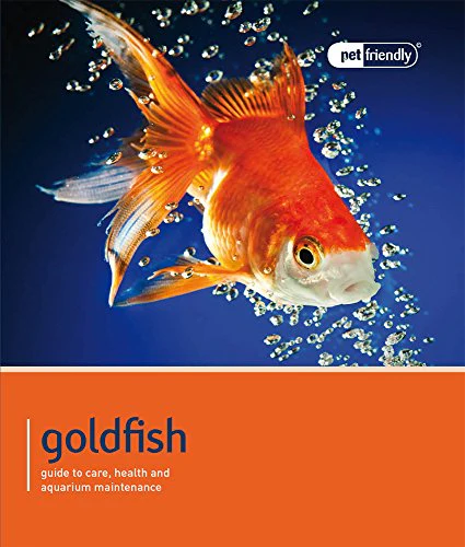 Goldfish - Pet Friendly: Understanding and Caring for Your Pet