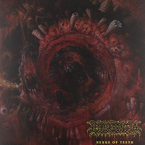 Various - Nexus Of Teeth [VINYL]