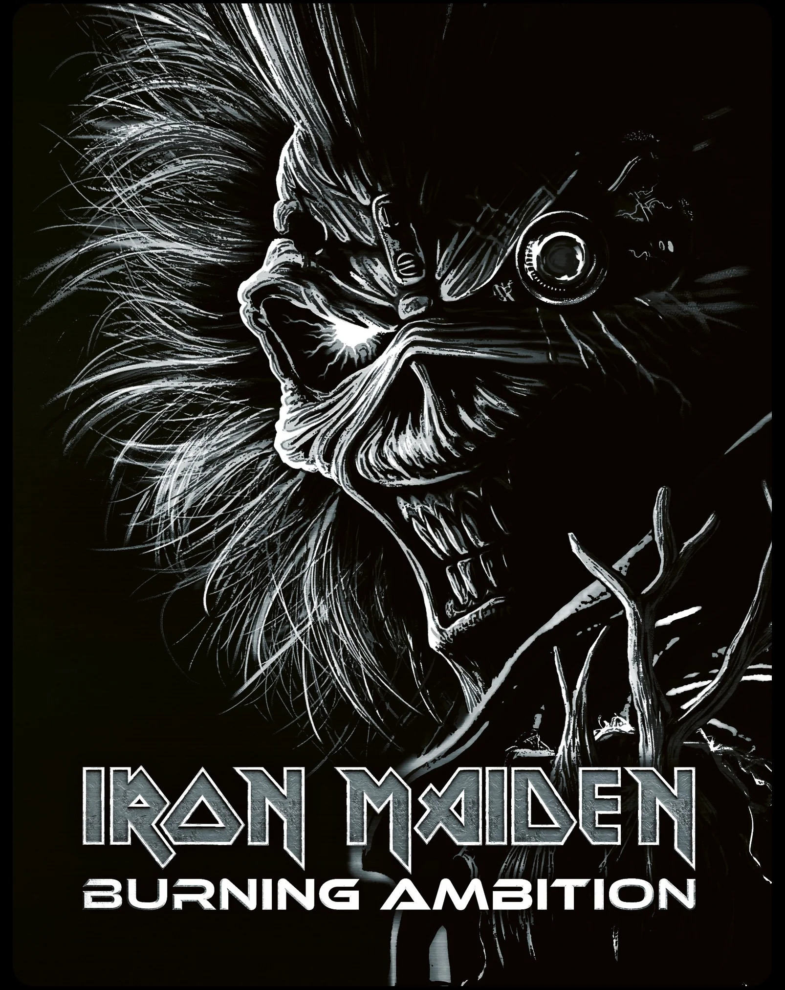 Iron Maiden: Burning Ambition Steelbook [Blu-ray]