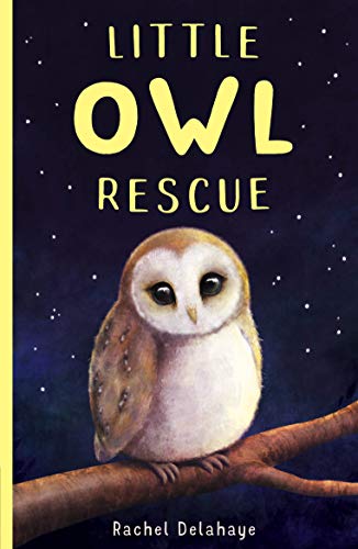 Little Owl Rescue: 5 (Little Animal Rescue (5))
