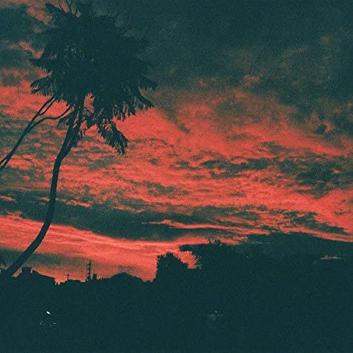Malena Zavala - Aliso [VINYL]