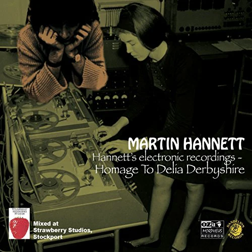 Martin Hannett - Homage To Delia Derbyshire: Hannett's Electronic Recordings [VINYL]