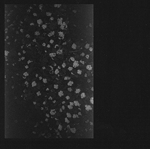 Motorama - Poverty [CD]