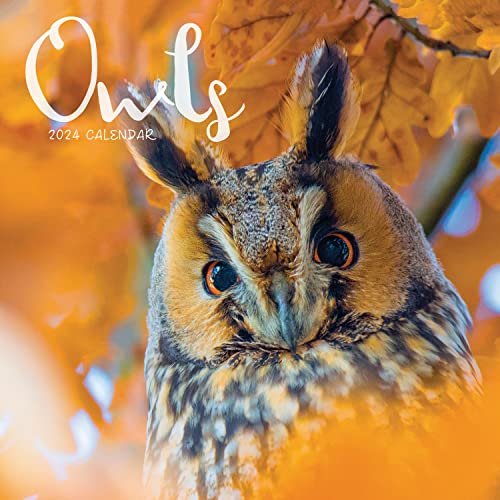 Owls 2024 Calendar