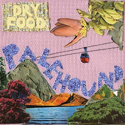 Palehound - Dry Food [VINYL]