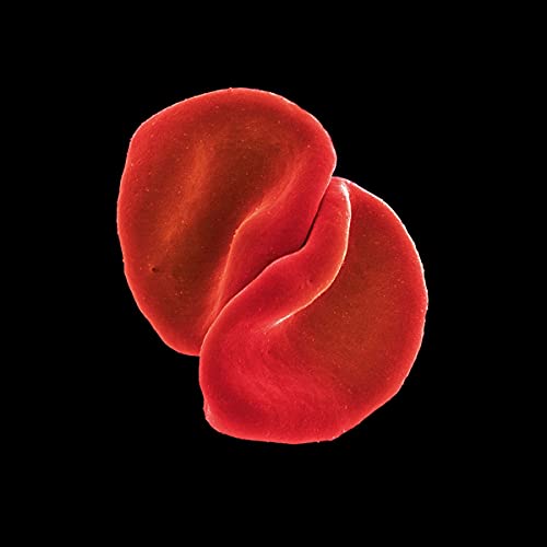 Peter Gabriel - Scratch My Back [CD]