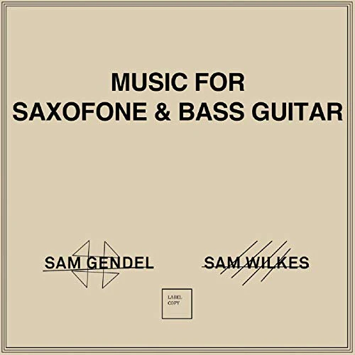 Sam Gendel - Music For Saxofone & Bass Guitar [VINYL]