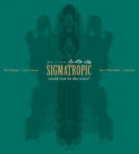 Sigmatropic - Could That Be The Voice [12"] [VINYL]