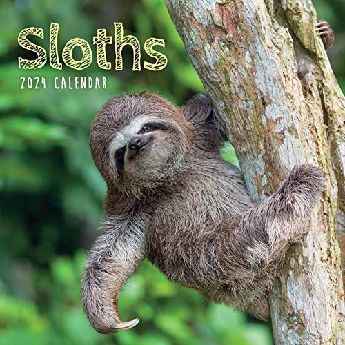 Sloths 2024 Calendar