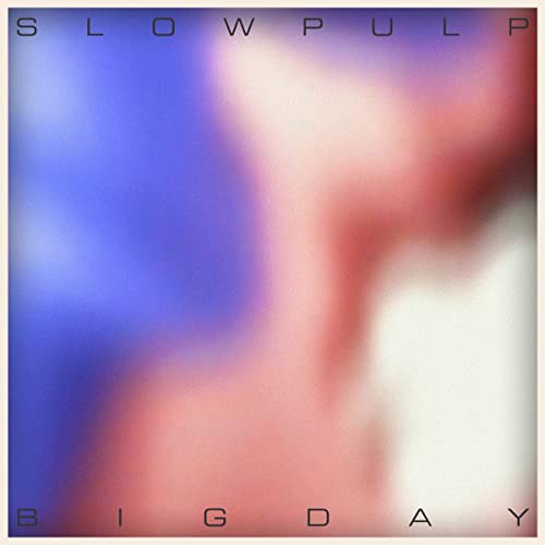 Various - BIG DAY [VINYL]