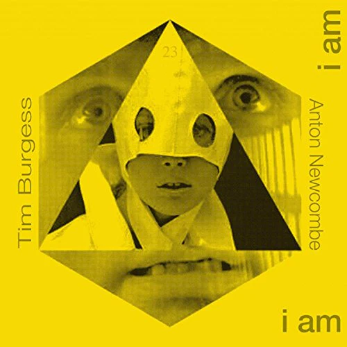 T.burgess Remix By A.newcombe - The Doors Of Then - I Am Yours I Am You [VINYL]