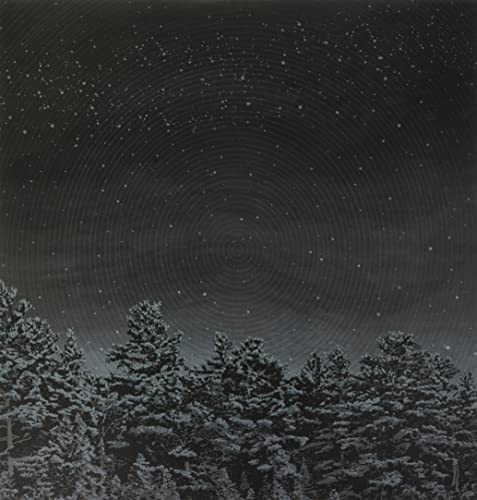 The Besnard Lakes - THE BESNARD LAKES ARE THE PRAYERS FOR THE DEATH OF FAME [VINYL]