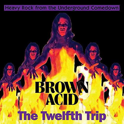 Various - Brown Acid: The Twelfth Trip [VINYL]