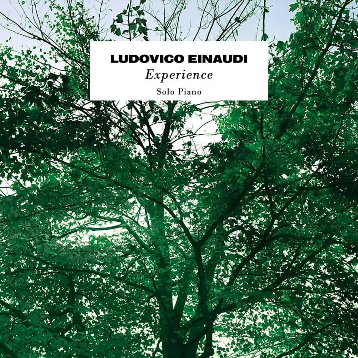 Ludovico Einaudi - Experience - Solo Piano [VINYL]