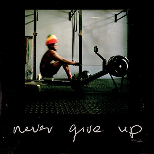 Various - Never Give Up [VINYL]