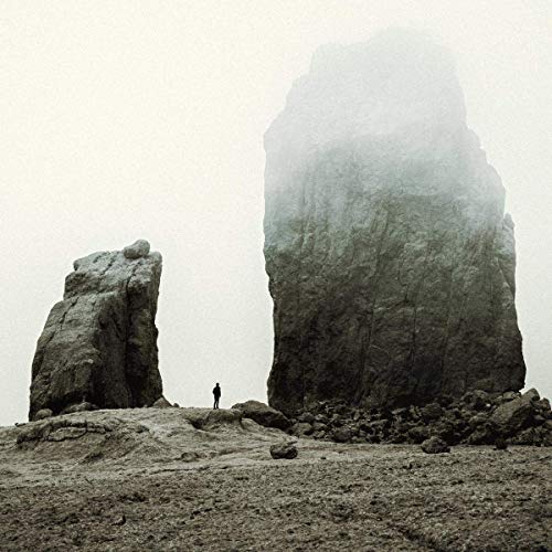 Various - Reunion (LP) [VINYL]