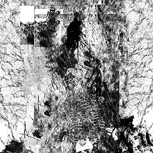 Vessel Of Iniquity - The Path Unseen [VINYL]