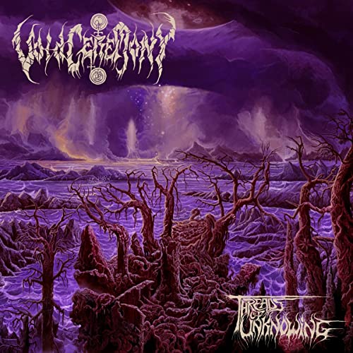 Voidceremony - Threads Of Unknowing (Violet & Black Vinyl) [VINYL]