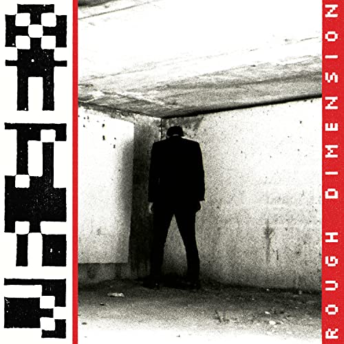 Vr Sex - ROUGH DIMENSION [VINYL]