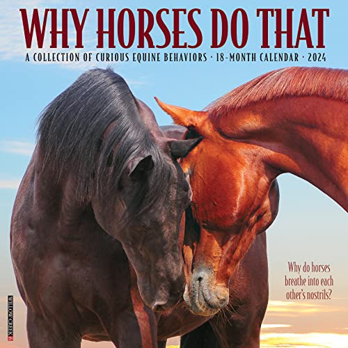 Why Horses Do That 2024 12 X 12 Wall Calendar