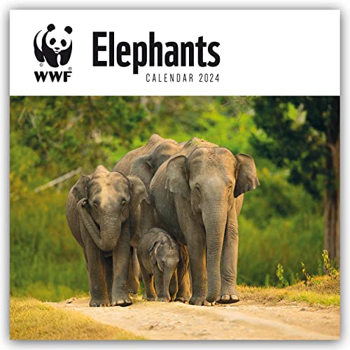 WWF Elephants - Elefanten 2024: Original Carousel-Kalender [Mehrsprachig] [Kalender]